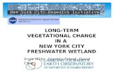 LONG-TERM VEGETATIONAL CHANGE IN A  NEW YORK CITY FRESHWATER WETLAND