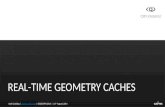 Real-time Geometry Caches