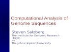 Computational Analysis of Genome Sequences