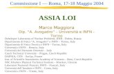 Marco Maggiora Dip. “A. Avogadro” – Università e INFN - Torino