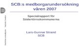 SCB:s medborgarundersökning våren 2007