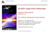 GLAST Large Area Telescope: Tracker Subsystem WBS 4.1.4 5C: Silicon Detector Procurement