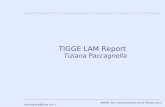 TIGGE LAM Report Tiziana Paccagnella
