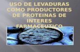 USO DE LEVADURAS COMO PRODUCTORES DE PROTEINAS DE INTERES FARMACEUTICO