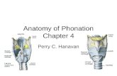 Anatomy of Phonation Chapter 4