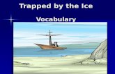 Trapped by the Ice Vocabulary