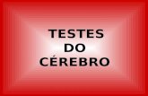 TESTES DO CÉREBRO