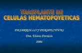DESARROLLO Y PERSPECTIVAS Dra. Elvira Dorticós 2006
