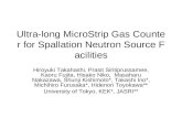 Ultra-long MicroStrip Gas Counter for Spallation Neutron Source Facilities