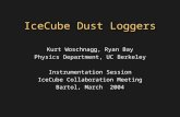 IceCube Dust Loggers