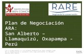 Plan de Negociación ARA: San Alberto – Llamaquizú, Oxapampa - Perú