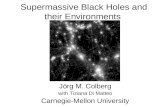Supermassive Black Holes and their Environments