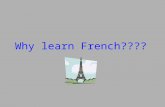 Why learn French????