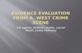 Evidence Evaluation from a. west crime scene