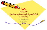 X36SSP Správa softwarových produktů 6.  přednáška