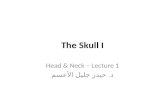 The Skull I