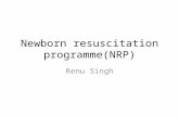 Newborn resuscitation programme(NRP)