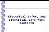 Electrical Safety and Electrical Safe Work Practices