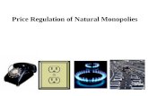 Price Regulation of Natural Monopolies