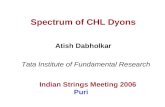 Spectrum of CHL Dyons
