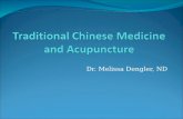Traditional Chinese Medicine  and Acupuncture
