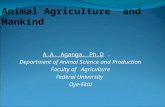 A.A. Aganga. Ph.D  .   Department of Animal Science and Production Faculty of   Agriculture
