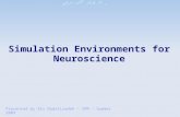 Simulation Environments for Neuroscience