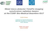 Metal micro-detector TimePix imaging synchrotron radiation beams