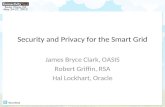 Security and Privacy for the Smart Grid