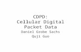 CDPD: Cellular Digital Packet Data