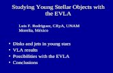 Studying Young Stellar Objects with the EVLA