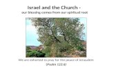Israel and the Church -  our blessing comes from our spiritual root
