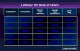Histology: The Study of Tissues