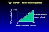 Hypo-osmotic - Hypo-ionic Regulation