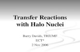 Transfer Reactions with Halo Nuclei