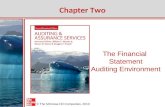 The Financial  Statement Auditing Environment
