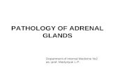 PATHOLOGY OF ADRENAL GLANDS