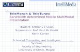 TeleMorph & TeleTuras: Bandwidth determined Mobile MultiModal Presentation