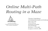 Online Multi-Path Routing in a Maze