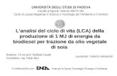 UNIVERSITÀ DEGLI STUDI DI PADOVA Facoltà di Agraria- Scienze MM.FF.NN.