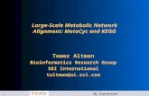 Large-Scale Metabolic Network Alignment: MetaCyc and KEGG