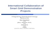 International Collaboration of Smart Grid Demonstration Projects