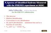 P t  Spectra of Identified Hadrons Measured with the PHENIX experiment at RHIC