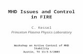 MHD Issues and Control in FIRE