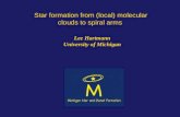 Star formation from (local) molecular clouds to spiral arms