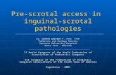 Pre-scrotal access in  inguinal-scrotal pathologies