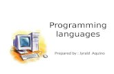 Programming  languages