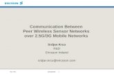 Communication Between  Peer Wireless Sensor Networks  over 2.5G/3G Mobile Networks
