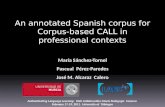 An annotated Spanish corpus for Corpus-based CALL in professional contexts