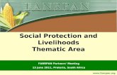 Social Protection and Livelihoods Thematic Area